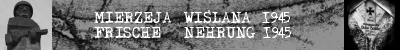 Polish Navy